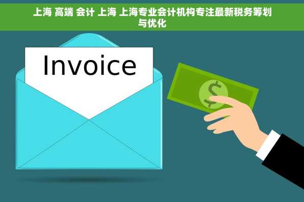 上海 高端 会计 上海 上海专业会计机构专注最新税务筹划与优化