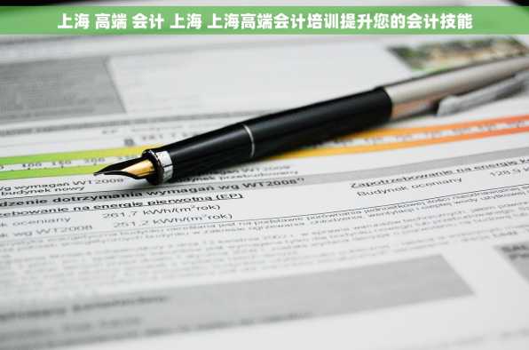 上海 高端 会计 上海 上海高端会计培训提升您的会计技能