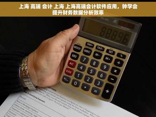 上海 高端 会计 上海 上海高端会计软件应用，钟学会提升财务数据分析效率