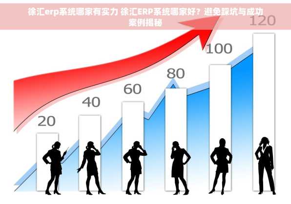 徐汇erp系统哪家有实力 徐汇ERP系统哪家好？避免踩坑与成功案例揭秘