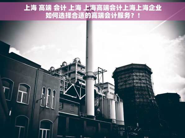 上海 高端 会计 上海 上海高端会计上海上海企业如何选择合适的高端会计服务？！