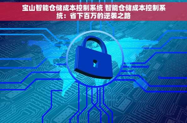 宝山智能仓储成本控制系统 智能仓储成本控制系统：省下百万的逆袭之路