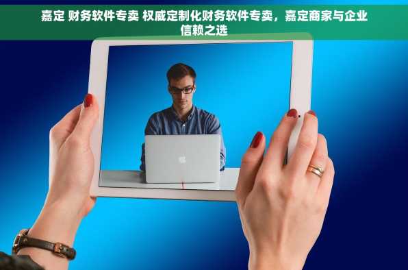 嘉定 财务软件专卖 权威定制化财务软件专卖，嘉定商家与企业信赖之选
