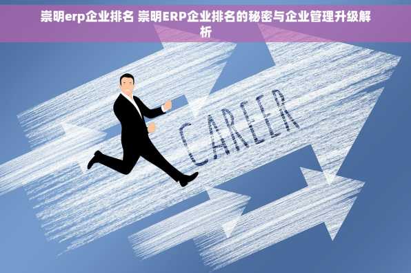崇明erp企业排名 崇明ERP企业排名的秘密与企业管理升级解析