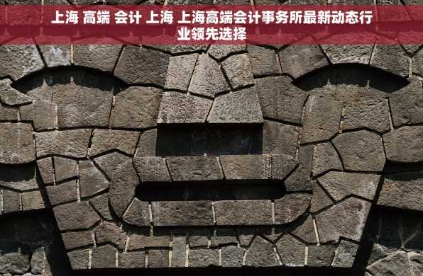 上海 高端 会计 上海 上海高端会计事务所最新动态行业领先选择