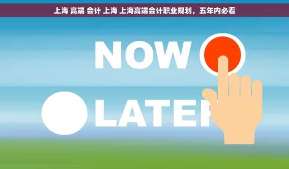 上海 高端 会计 上海 上海高端会计职业规划，五年内必看