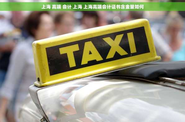 上海 高端 会计 上海 上海高端会计证书含金量如何