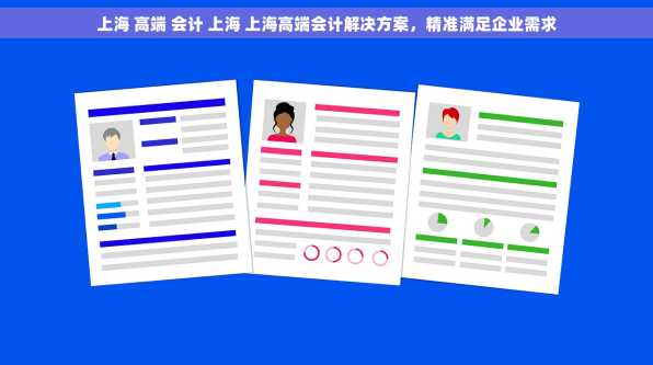 上海 高端 会计 上海 上海高端会计解决方案，精准满足企业需求