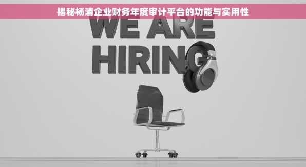 揭秘杨浦企业财务年度审计平台的功能与实用性