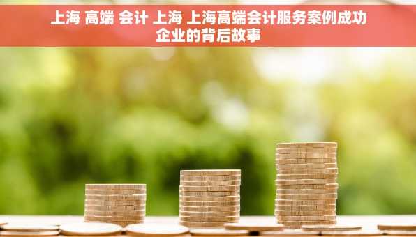 上海 高端 会计 上海 上海高端会计服务案例成功企业的背后故事