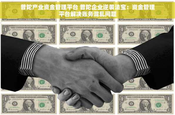 普陀产业资金管理平台 普陀企业逆袭法宝：资金管理平台解决账务混乱问题