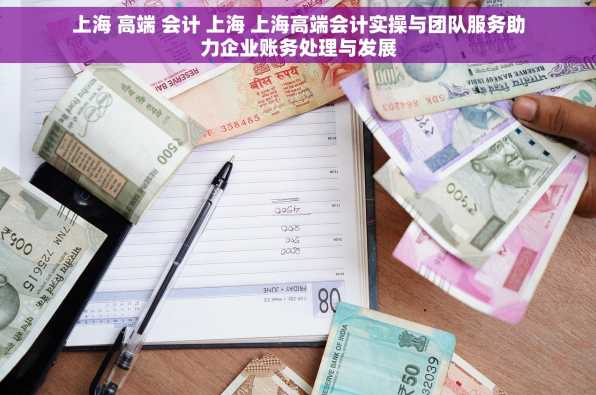 上海 高端 会计 上海 上海高端会计实操与团队服务助力企业账务处理与发展
