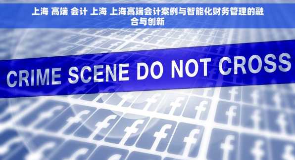 上海 高端 会计 上海 上海高端会计案例与智能化财务管理的融合与创新