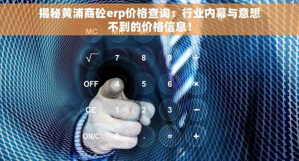 揭秘黄浦商砼erp价格查询：行业内幕与意想不到的价格信息！