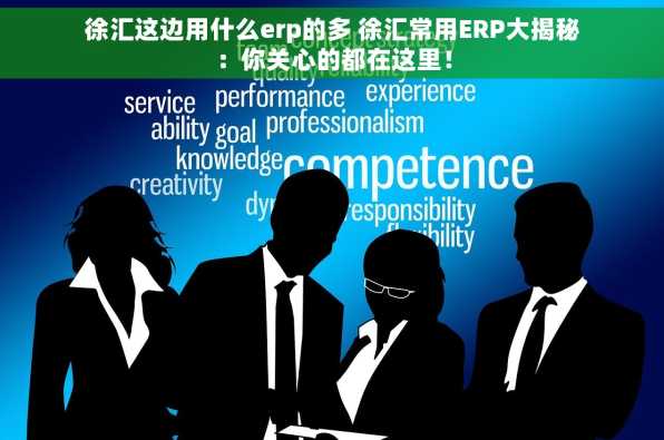 徐汇这边用什么erp的多 徐汇常用ERP大揭秘：你关心的都在这里！