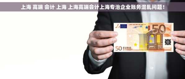 上海 高端 会计 上海 上海高端会计上海专治企业账务混乱问题！