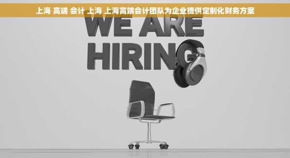 上海 高端 会计 上海 上海高端会计团队为企业提供定制化财务方案