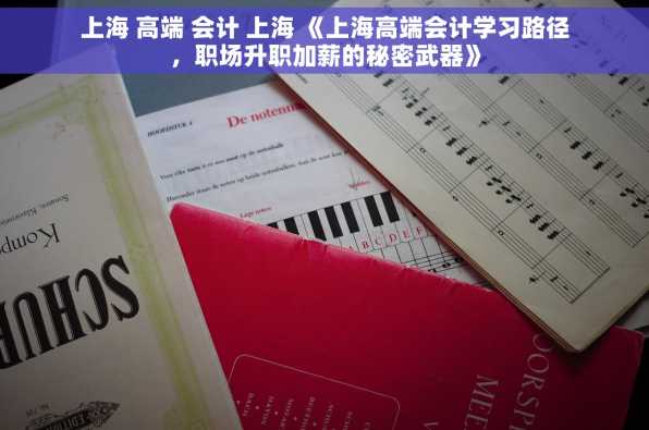 上海 高端 会计 上海 《上海高端会计学习路径，职场升职加薪的秘密武器》