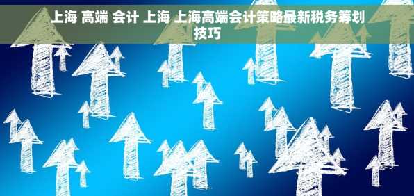 上海 高端 会计 上海 上海高端会计策略最新税务筹划技巧
