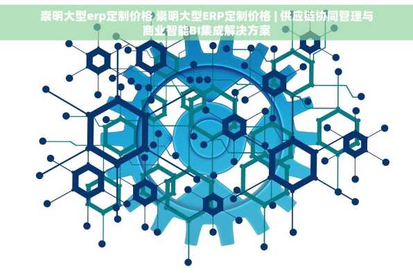 崇明大型erp定制价格 崇明大型ERP定制价格 | 供应链协同管理与商业智能BI集成解决方案