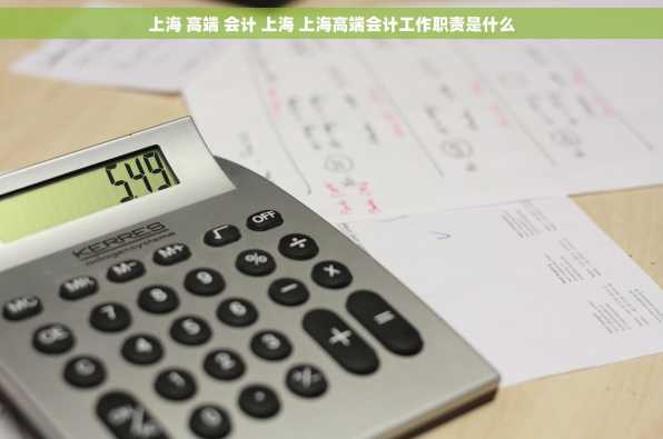 上海 高端 会计 上海 上海高端会计工作职责是什么