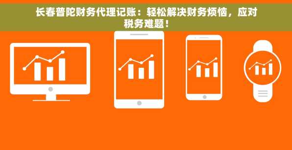 长春普陀财务代理记账：轻松解决财务烦恼，应对税务难题！
