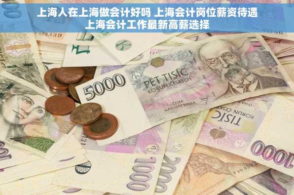 上海人在上海做会计好吗 上海会计岗位薪资待遇上海会计工作最新高薪选择