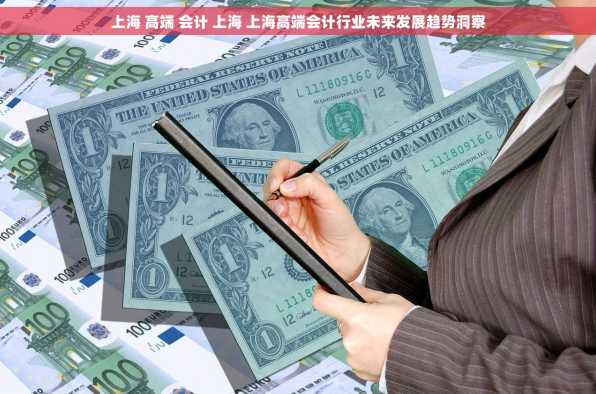 上海 高端 会计 上海 上海高端会计行业未来发展趋势洞察
