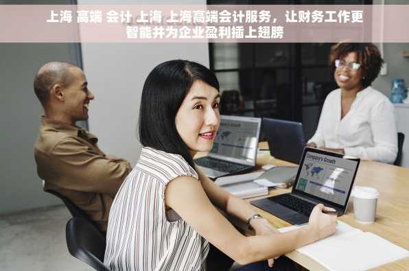 上海 高端 会计 上海 上海高端会计服务，让财务工作更智能并为企业盈利插上翅膀