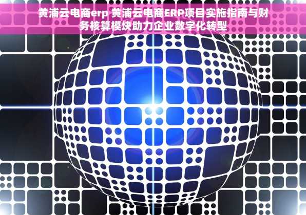 黄浦云电商erp 黄浦云电商ERP项目实施指南与财务核算模块助力企业数字化转型