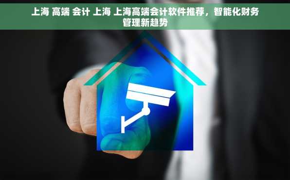 上海 高端 会计 上海 上海高端会计软件推荐，智能化财务管理新趋势