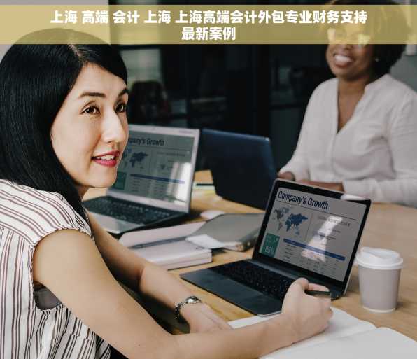 上海 高端 会计 上海 上海高端会计外包专业财务支持最新案例