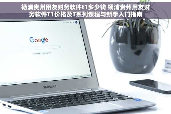 杨浦贵州用友财务软件t1多少钱 杨浦贵州用友财务软件T1价格及T系列课程与新手入门指南