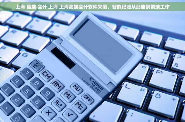 上海 高端 会计 上海 上海高端会计软件来袭，智能记账从此告别繁琐工作