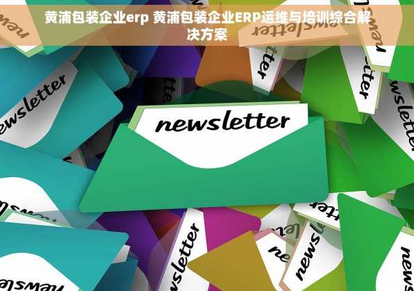 黄浦包装企业erp 黄浦包装企业ERP运维与培训综合解决方案