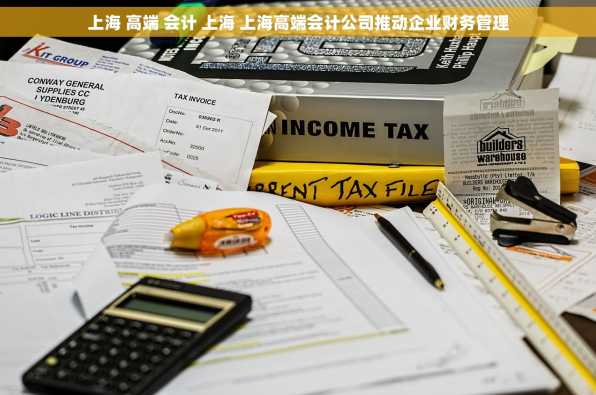 上海 高端 会计 上海 上海高端会计公司推动企业财务管理