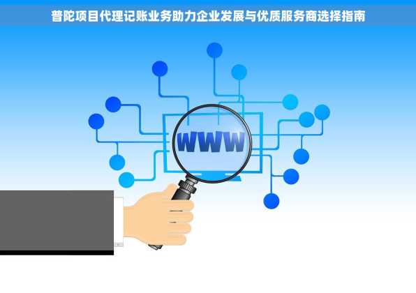 普陀项目代理记账业务助力企业发展与优质服务商选择指南