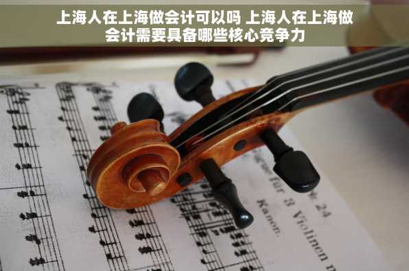 上海人在上海做会计可以吗 上海人在上海做会计需要具备哪些核心竞争力
