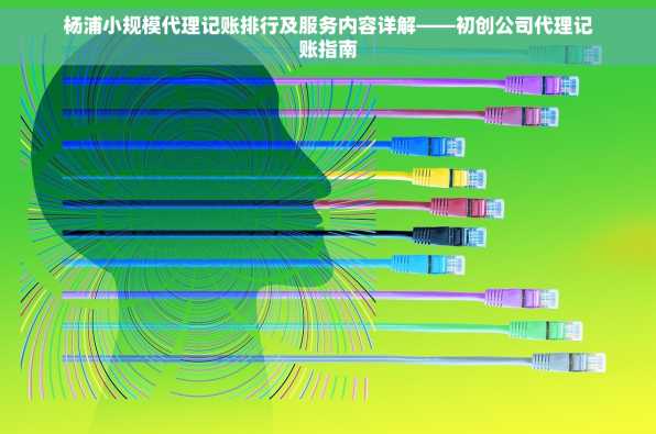 杨浦小规模代理记账排行及服务内容详解——初创公司代理记账指南