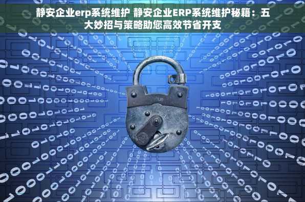 静安企业erp系统维护 静安企业ERP系统维护秘籍：五大妙招与策略助您高效节省开支