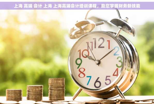 上海 高端 会计 上海 上海高端会计培训课程，助您掌握财务新技能