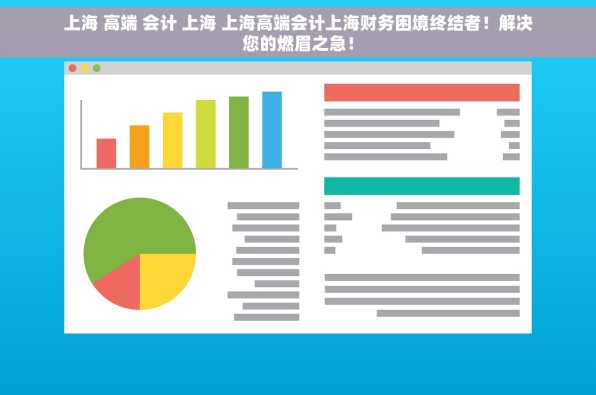 上海 高端 会计 上海 上海高端会计上海财务困境终结者！解决您的燃眉之急！