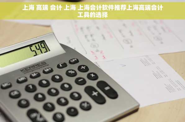 上海 高端 会计 上海 上海会计软件推荐上海高端会计工具的选择