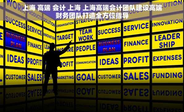 上海 高端 会计 上海 上海高端会计团队建设高端财务团队打造全方位指导