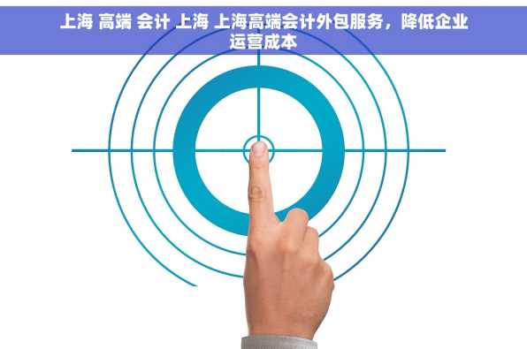 上海 高端 会计 上海 上海高端会计外包服务，降低企业运营成本