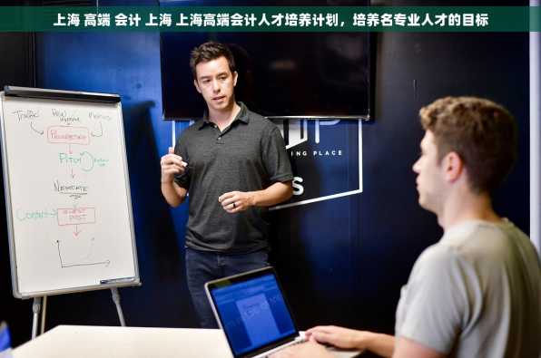 上海 高端 会计 上海 上海高端会计人才培养计划，培养名专业人才的目标
