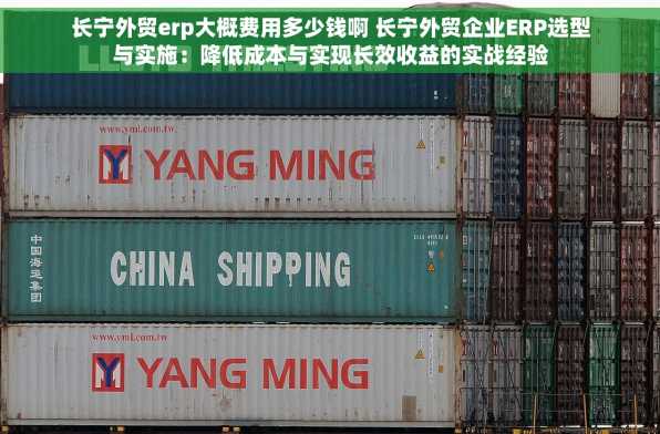 长宁外贸erp大概费用多少钱啊 长宁外贸企业ERP选型与实施：降低成本与实现长效收益的实战经验
