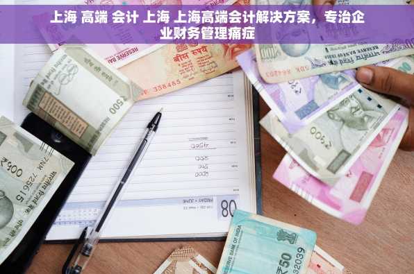 上海 高端 会计 上海 上海高端会计解决方案，专治企业财务管理痛症