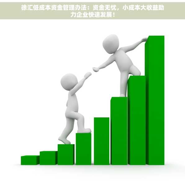 徐汇低成本资金管理办法：资金无忧，小成本大收益助力企业快速发展！