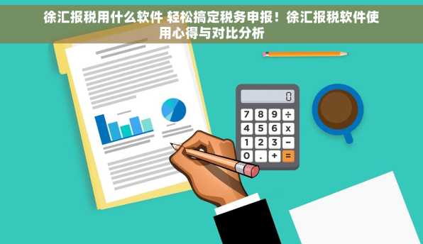 徐汇报税用什么软件 轻松搞定税务申报！徐汇报税软件使用心得与对比分析